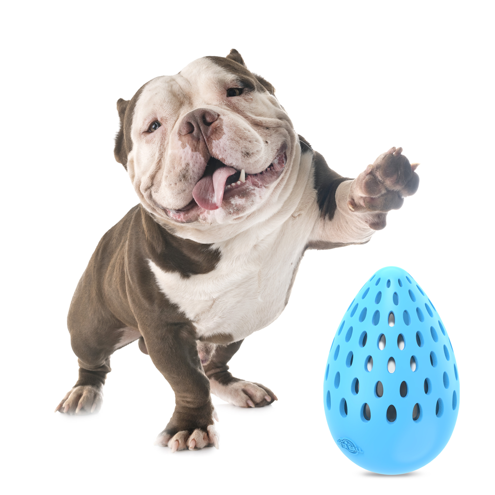 AFP Meta Ball - Œuf troué indestructible M pour Chien | Marque, Pays d'origine, Contenance, Dimensions
