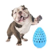 AFP Meta Ball - Œuf troué indestructible M pour Chien | Marque, Pays d'origine, Contenance, Dimensions