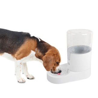 Distributeur d'eau pour animaux Gravity AFP Lifestyle 4 Pets - Pratique et design