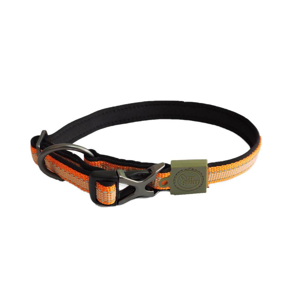 Collier pour chien AFP Off Street - Tangerine S, style et confort
