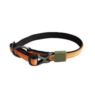 Collier pour chien AFP Off Street - Énergique Tangarine M