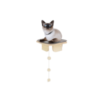 AFP Skywalk - Plateforme d'angle pour Chat, Compact et Confortable