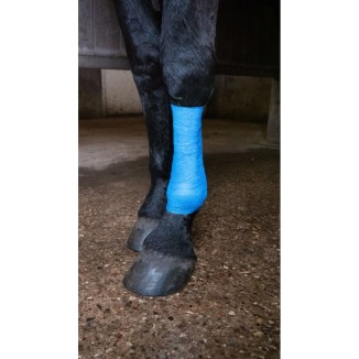 Bandage Pro Brillant pour Animaux 10 cm - Bleu: Pratique et Polyvalent