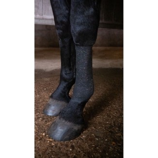 Bandage Pro Brillant pour Animaux 10 cm - Noir | Qualité Exceptionnelle