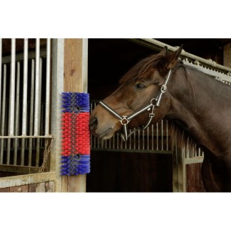 Brosse polyvalente pour animaux - Maroc - 51x24x10 cm
