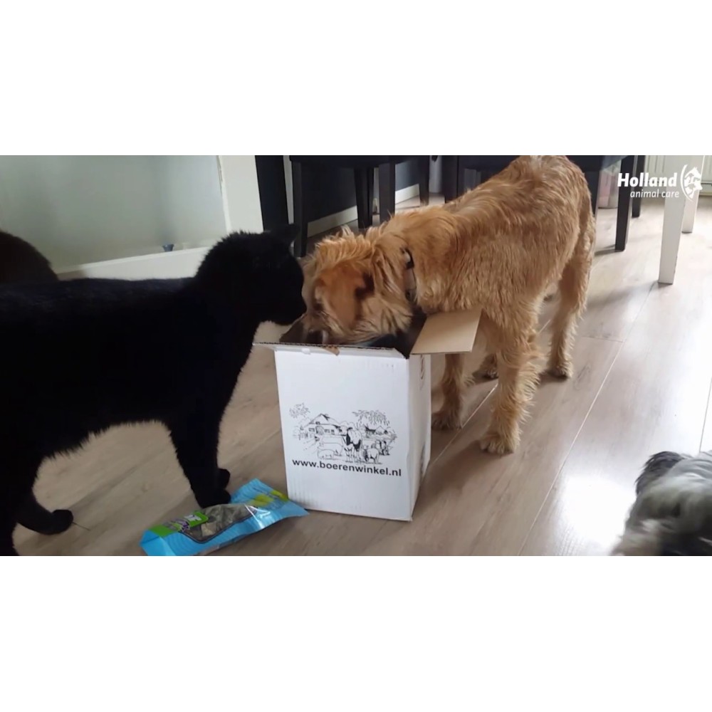 Os à Mâcher Braaaf Donut Bœuf & Poisson pour Chiens