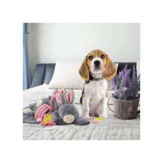 Le Bunny Puppy Crunchy Chew - Friandises croquantes pour chiot, 16x22x6 cm