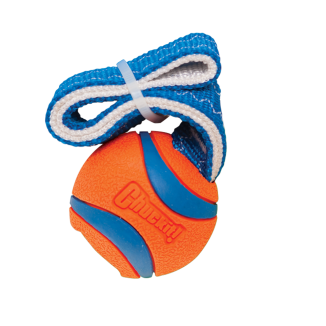 Jouet pour chien Chuckit! Ultra Tug S - Résistant et Ludique
