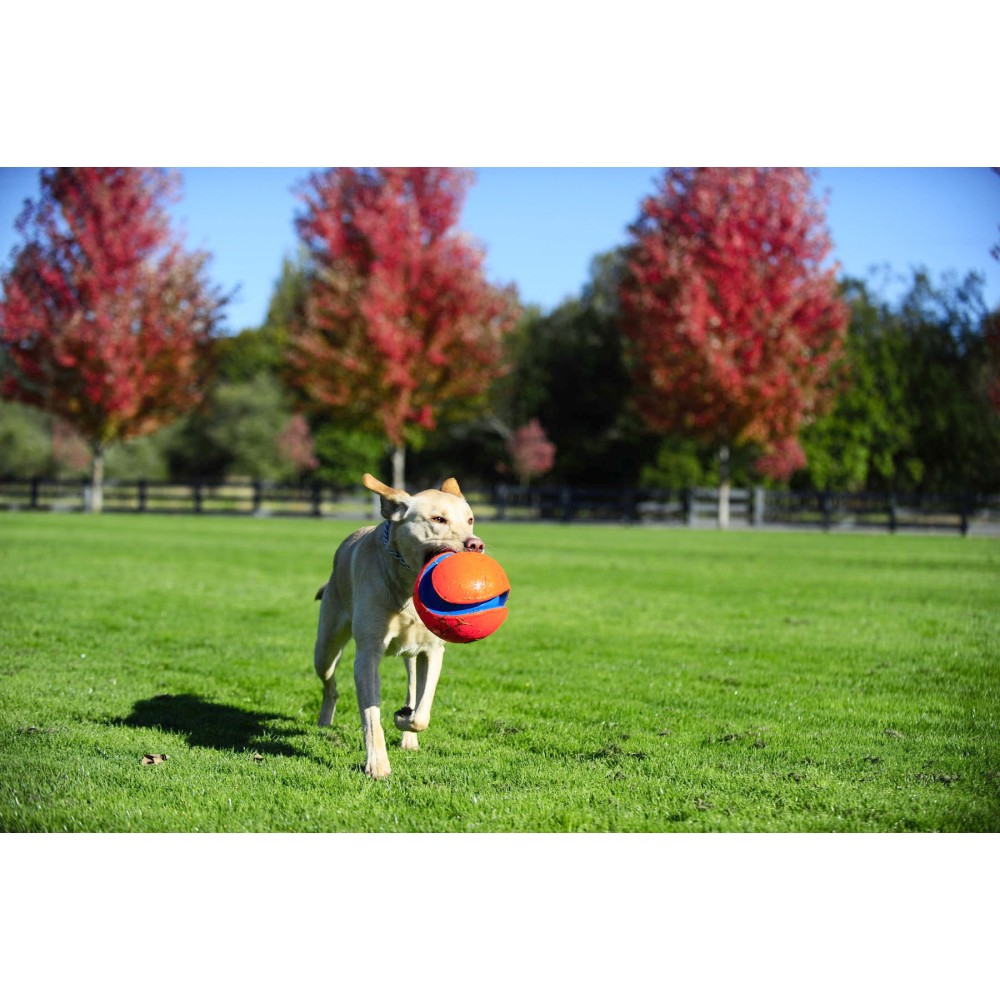 Chuckit! Kick Fetch Chien L - Jouet de jeu interactif pour chien