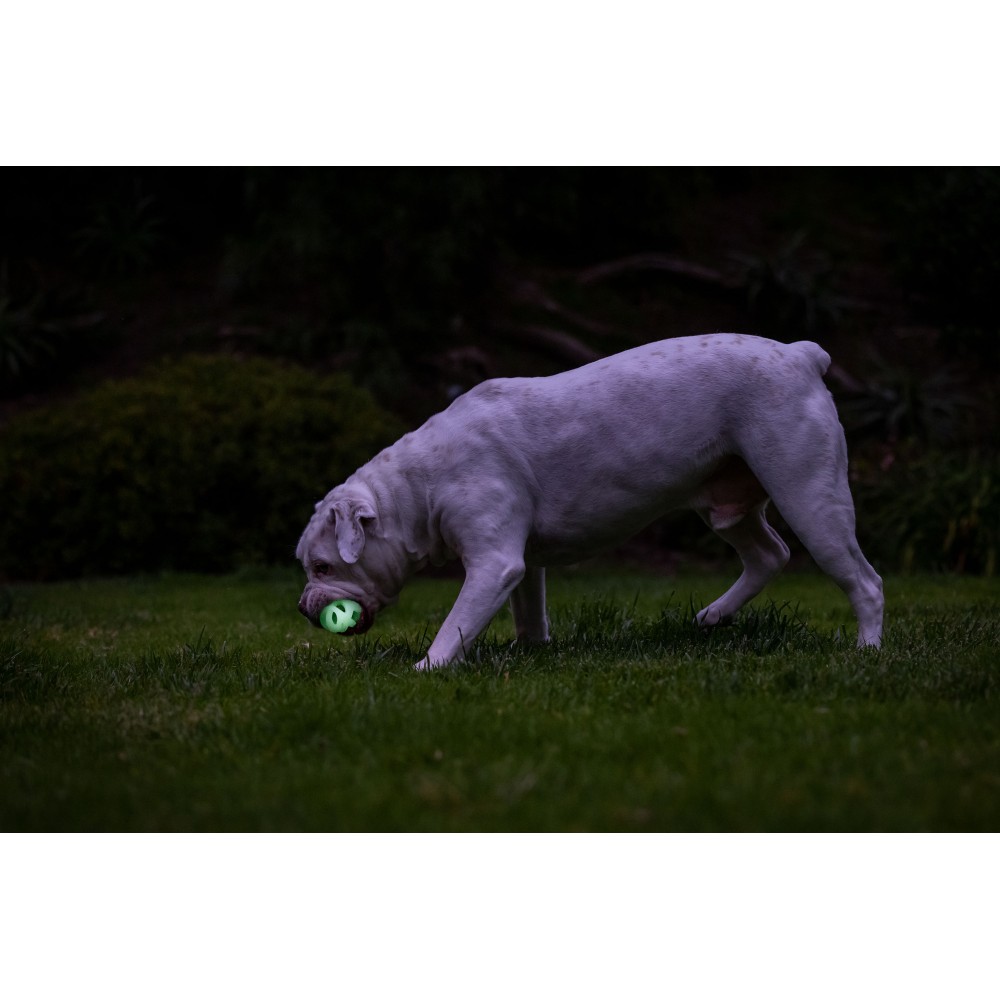 Lot de 2 balles lumineuses Chuckit! Air Glow Fetch Ball M pour chiens