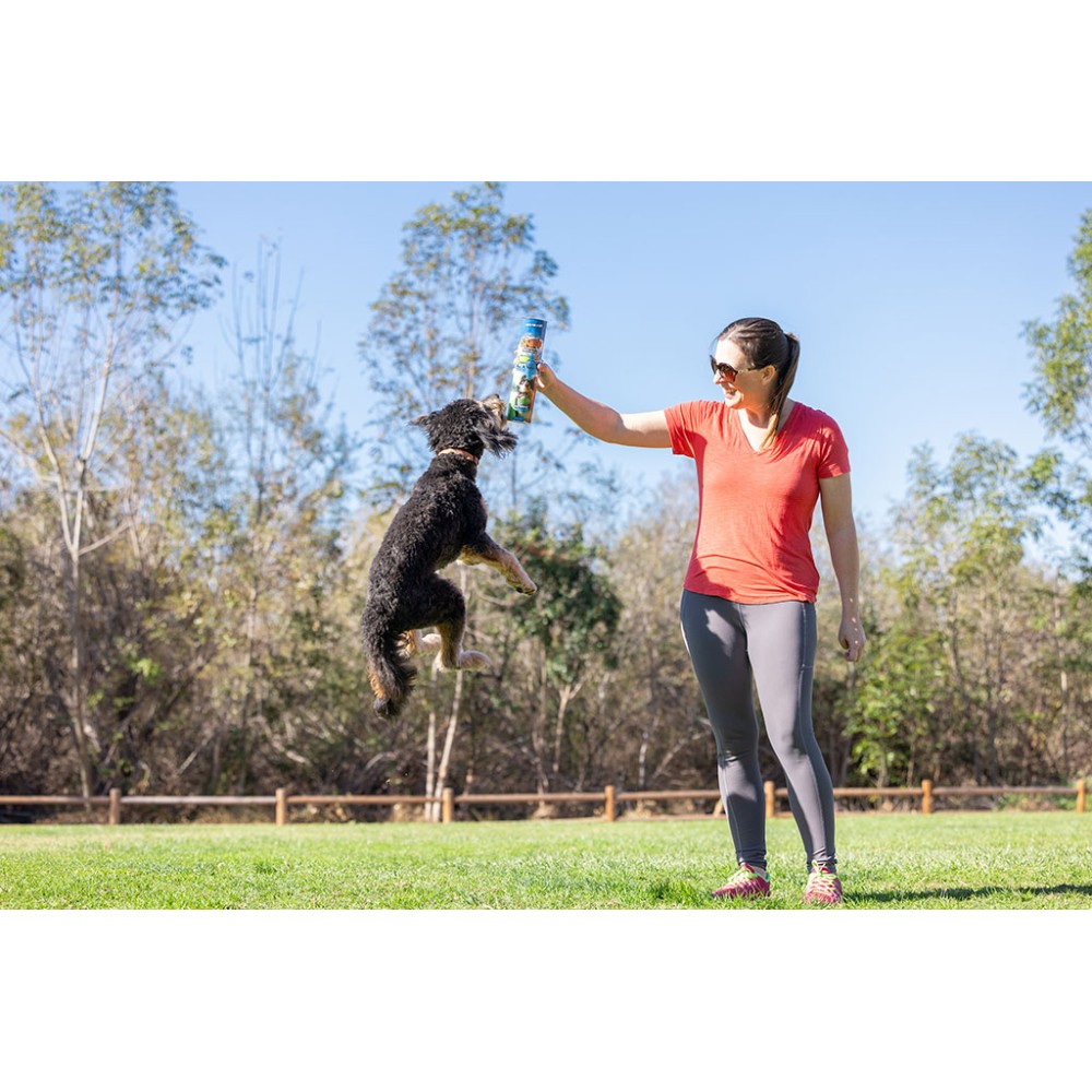 Pack de 4 balles Chuckit! au bacon et beurre de cacahuète pour chien - Taille M