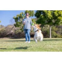 Pack de 4 balles Chuckit! au bacon et beurre de cacahuète pour chien - Taille M
