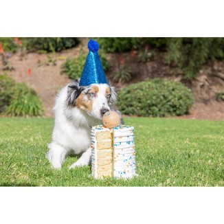 Chuckit! Balle de Fetch d'Anniversaire M - Jouet pour Chien Fun et Coloré
