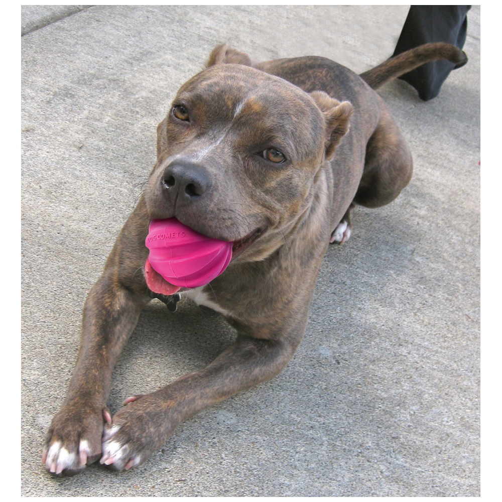 Croquettes Les Comètes pour Chien Halley Rose - Savourez chaque bouchée!