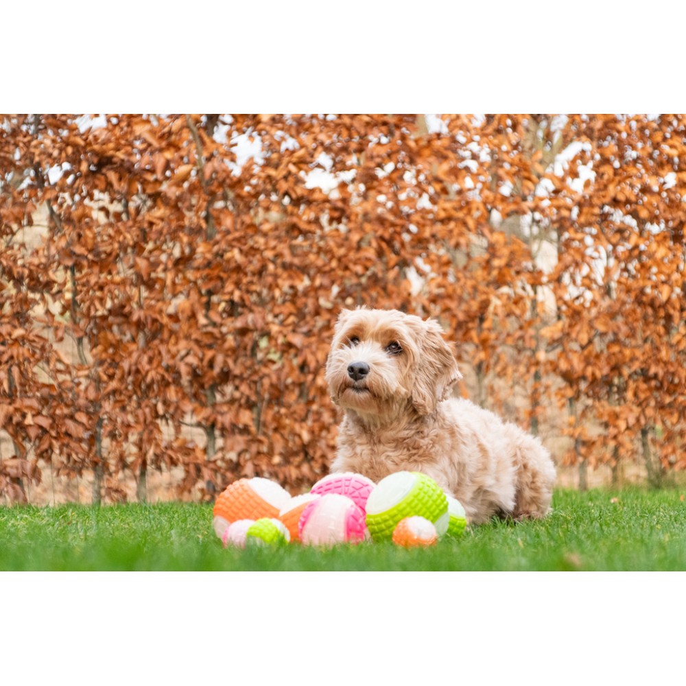 Balle de lune phosphorescente pour chien Comets M Rose - Jouet lumineux pour des jeux nocturnes fun