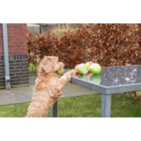 Balle de lune phosphorescente pour chien Comets M Rose - Jouet lumineux pour des jeux nocturnes fun