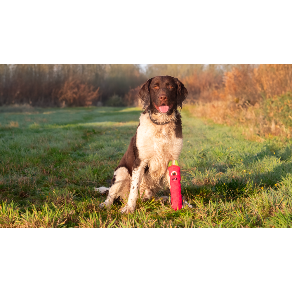 Chien Comètes Envahisseurs Vert M - Jouet Amusant et Ludique