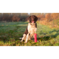 Chien Comètes Envahisseurs Vert M - Jouet Amusant et Ludique