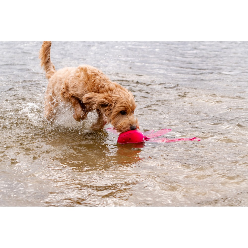 Le jouet pour chien Le Dog Comets Alien Octo L Rose - Amusement intergalactique!