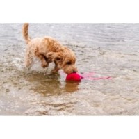 Le jouet pour chien Le Dog Comets Alien Octo L Rose - Amusement intergalactique!