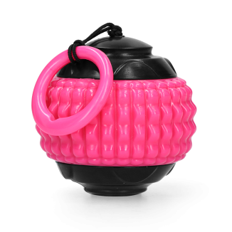 Collier pour chien Comètes Blazar Jet Rose - Marque, Pays d'origine, Contenance et Dimensions