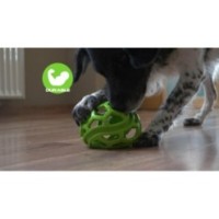 Les Dog Comets Titan Vert - Jouet pour Chien de Taille XL