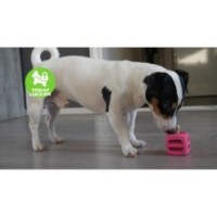 Les Comètes pour Chien Pollux Orange - Jouet Ludique et Coloré