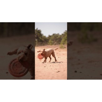 Anneau UFO Dog Comets Rose - Jouet pour Chien Ludique et Coloré