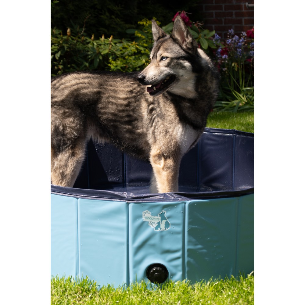 Piscine pour chien CoolPets Splash ø 80 x 20 cm - Rafraîchissez votre compagnon!