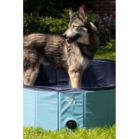 Piscine pour chien CoolPets Splash ø 80 x 20 cm - Rafraîchissez votre compagnon!