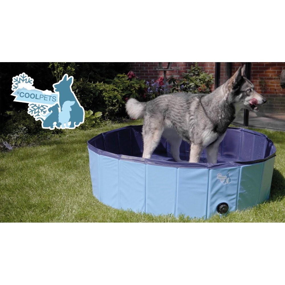 Piscine pour chien CoolPets Splash ø 120 x 30 cm - Fraîcheur estivale pour votre compagnon!