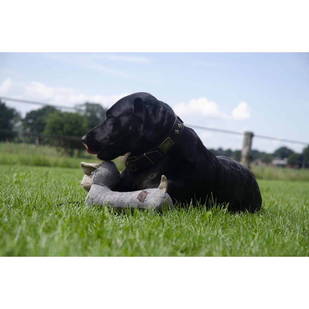 Country Dog Original Daisy - Panier pour chien de taille moyenne - 35x18x6 cm