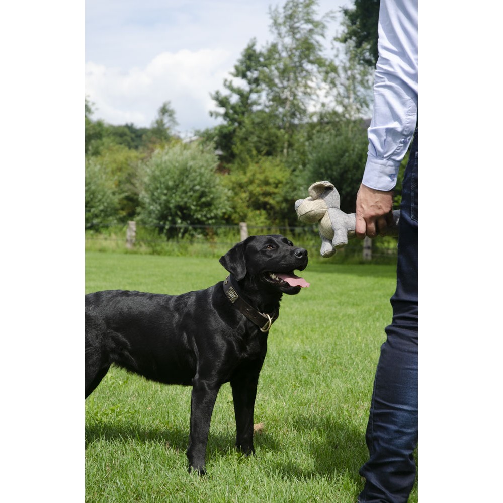 Country Dog Original Daisy - Panier pour chien de taille moyenne - 35x18x6 cm