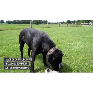 Country Dog : Boutons Originaux - Fabrication Française, Taille Idéale