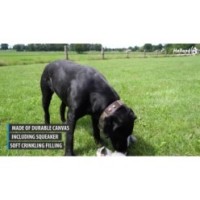 Country Dog Original Bonny - Jouet pour chien de qualité supérieure