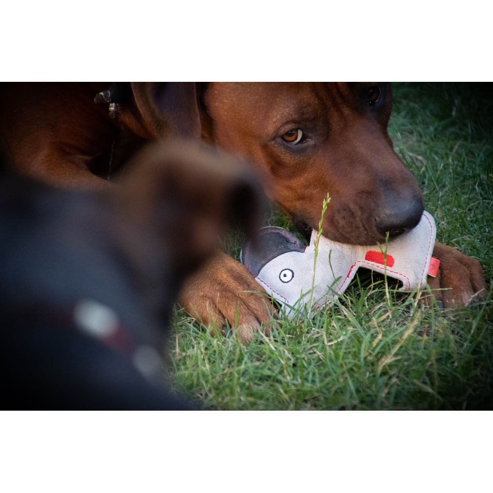 Doggy Doodles Âne marron et Chiot Gris clair pour CHIEN