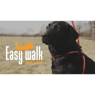 Balade facile pour chien avec le Easy Walk Modèle Épaule Noir - Mini 