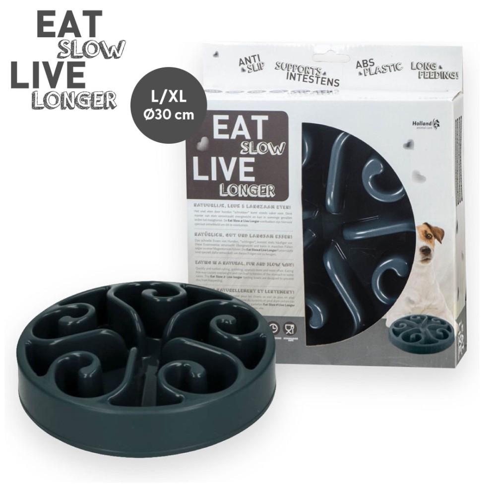 Mangez lentement, vivez plus longtemps avec le Gamelle pour Chien Original Gris L