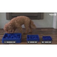 Gamelle Anti-Glouton Étoile Rose XS - Contenance 200 ml, Idéal pour les petits chiens