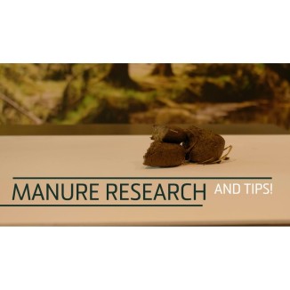 Excellent Cheval Psyllium Plus 1,2 kg - Naturellement efficace pour le système digestif