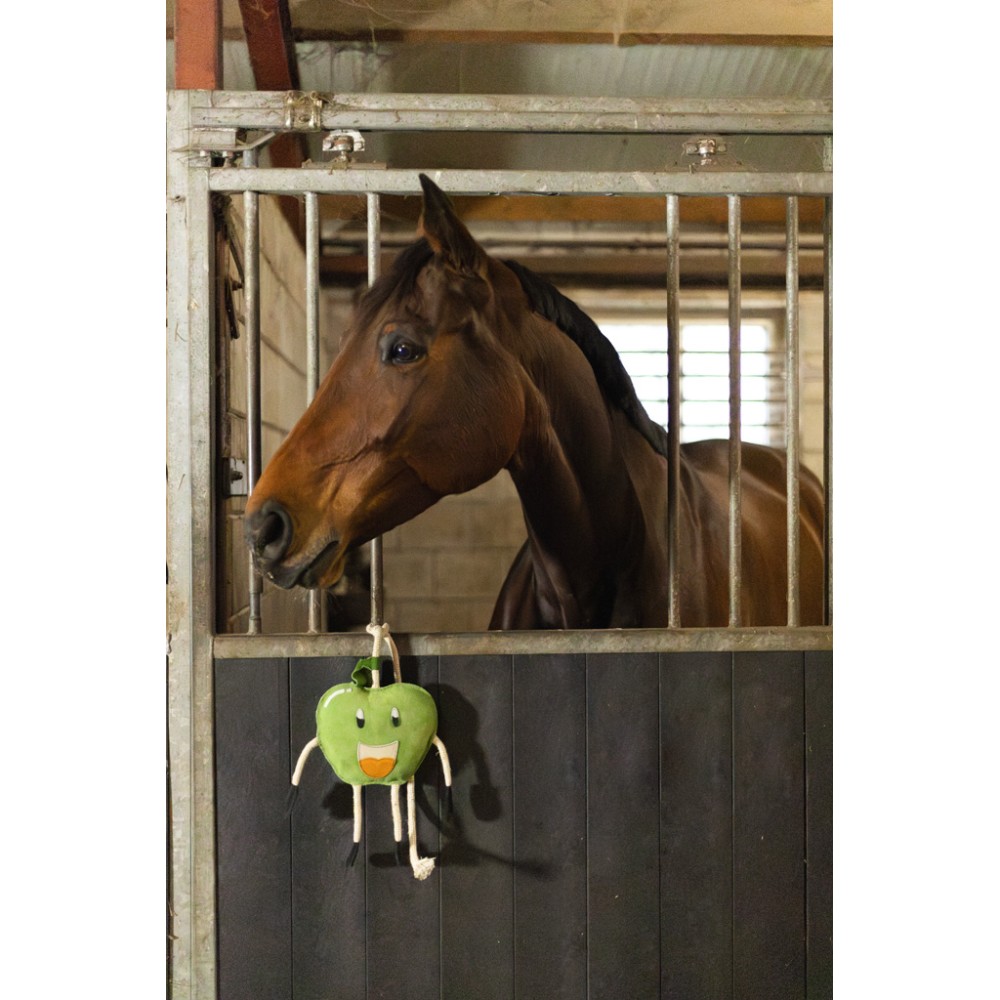 Excellent Aliment pour Cheval Foodie Friends Pomme - Qualité supérieure, saveur irrésistible
