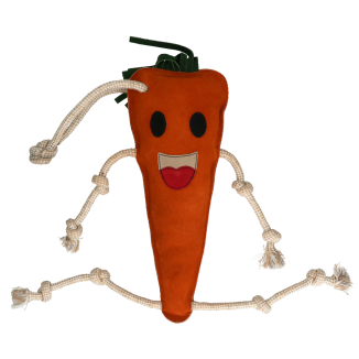 Friandises pour Cheval Carotte de Qualité Supérieure - Délice Équin Irresistible