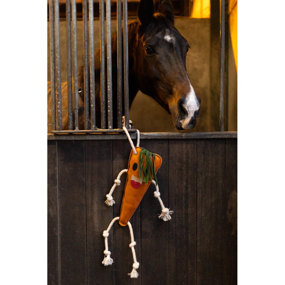 Friandises pour Cheval Carotte de Qualité Supérieure - Délice Équin Irresistible