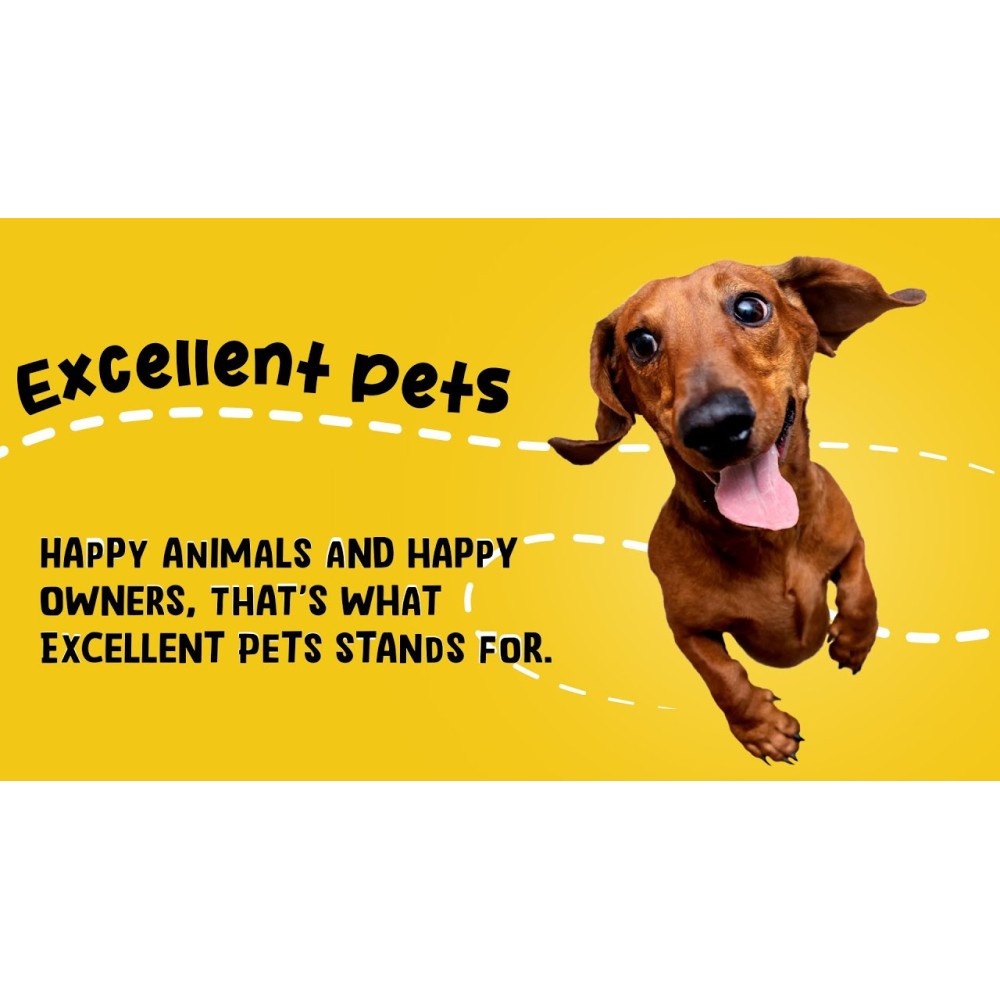 Délices Multivitaminés pour Chiens - 60 Friandises Tendres