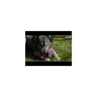 FantaZoo Léopard - M: Jouet pour Chien avec Contenance 25x14x6 cm