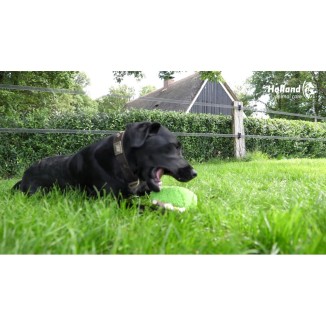Fuzzle Hedgie Tire-Moi Orange - Jouet interactif pour chien
