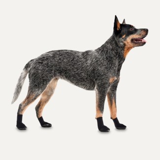Bottes pour chien Goo-eez Lites 4 par paquet XS Noir - Protégez les pattes de votre chien!
