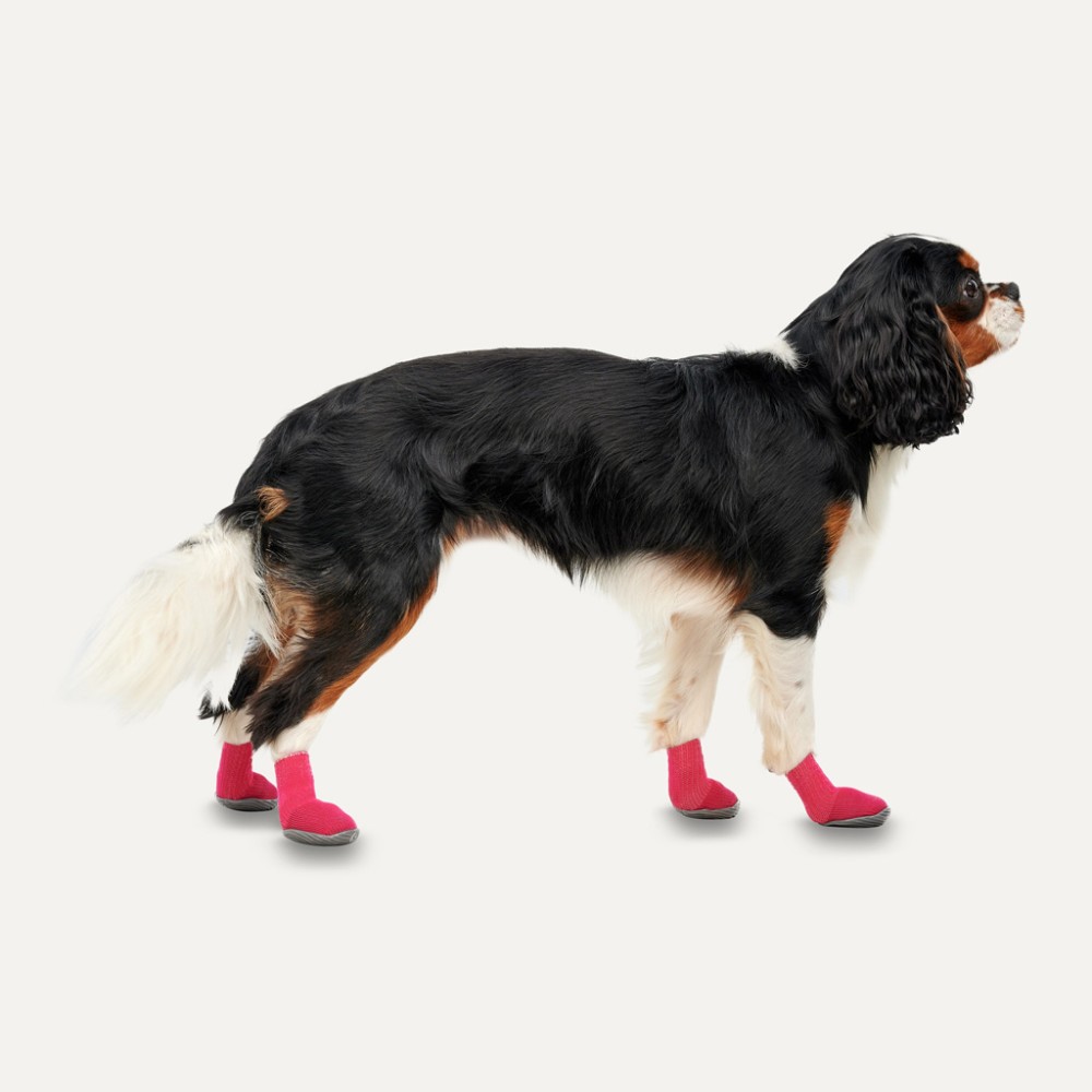 Chaussons pour Chien Goo-eez Lites 4 Pack XS Rouge/Noir - Confort et Style