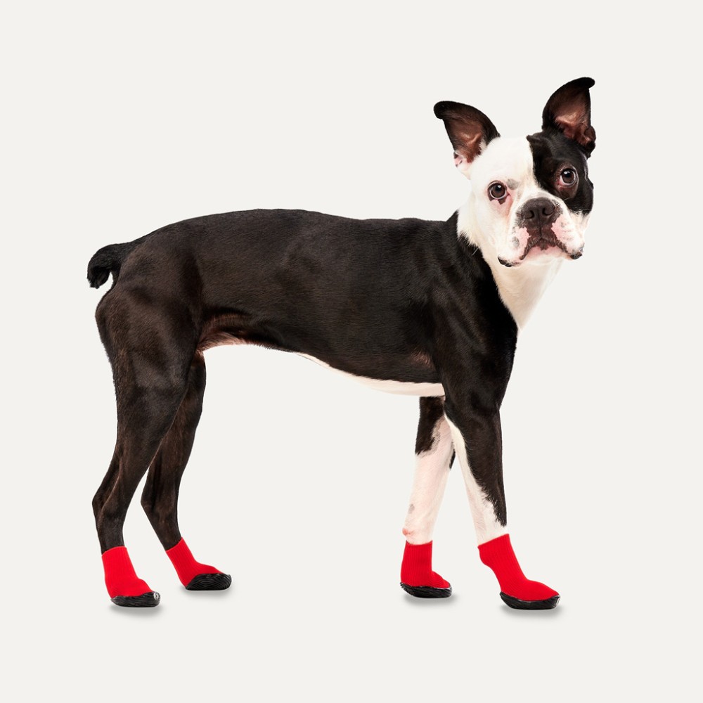 Chaussons pour Chien Goo-eez Lites 4 Pack XS Rouge/Noir - Confort et Style