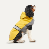 Manteau Imperméable Réfléchissant pour Chien XXL Jaune/Gris